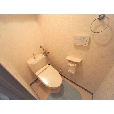洗浄付きトイレは数年前に内装済みです!