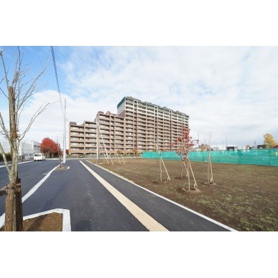 ウィズランド平岡4条の前面道路です(2020.4撮影)