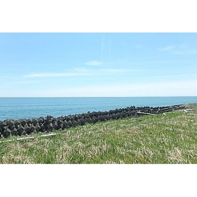 太平洋沿いです