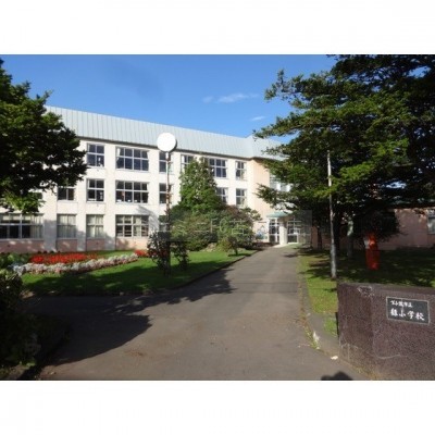 苫小牧市立緑小学校