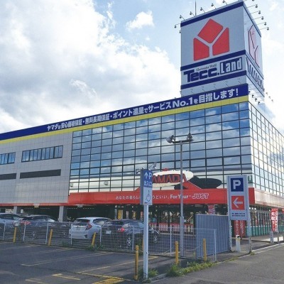 ヤマダ電機