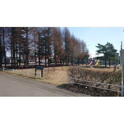 宅地近隣のからまつ公園