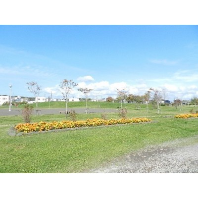 北光町未来の森公園