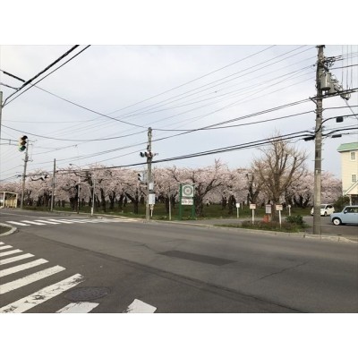 五稜郭公園