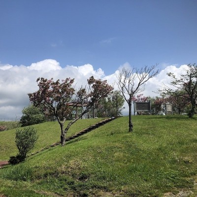 近くの公園で
