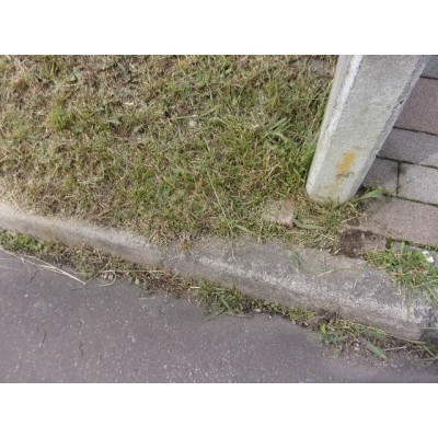 現地写真