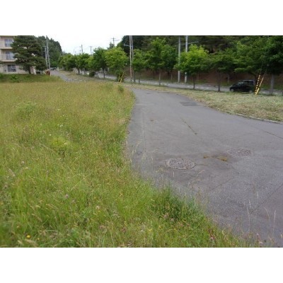 周辺道路