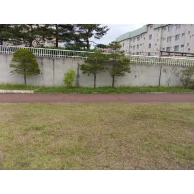 現地写真