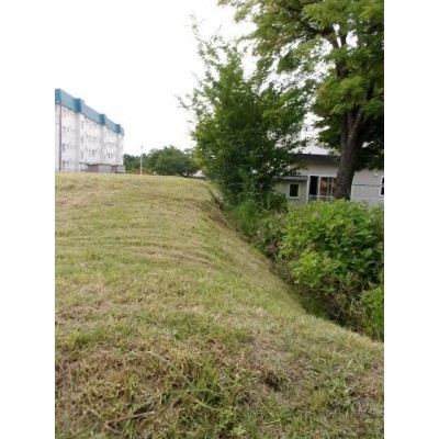 現地写真