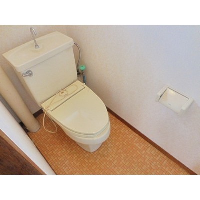ウォシュレットに交換可能です