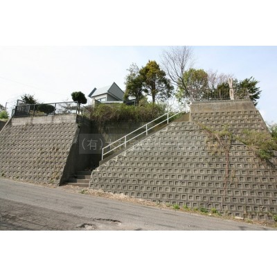 南西の道路側から