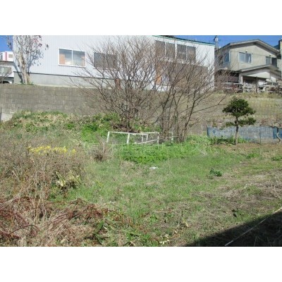 裏の家庭菜園