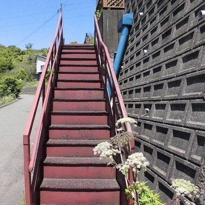 玄関への階段