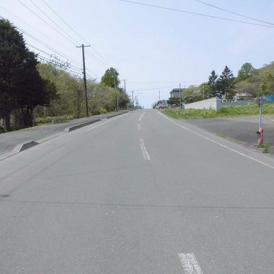 バス通り