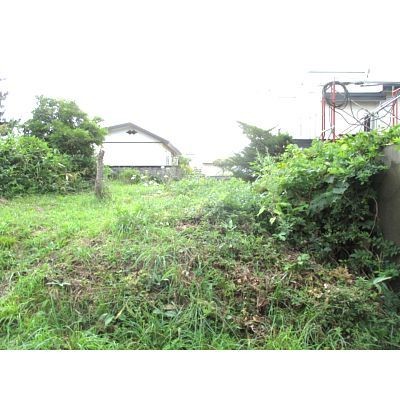 その他の画像4