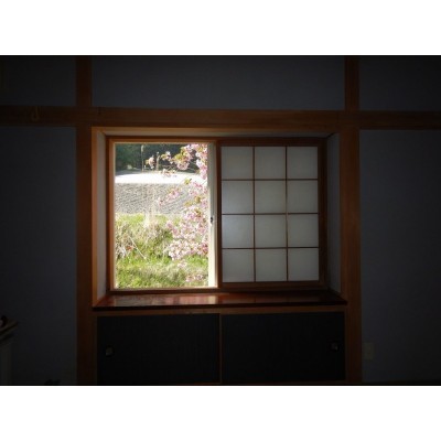 和室前には桜が咲きます