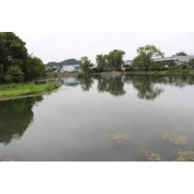 青池公園まで874m