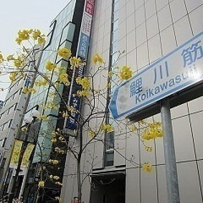 鯉川筋