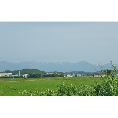 大雪連邦が見えますよ♪