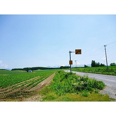 周辺は畑です。