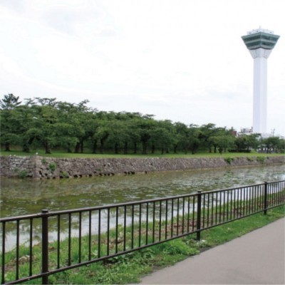 五稜郭公園も近く。徒歩5分くらいです。