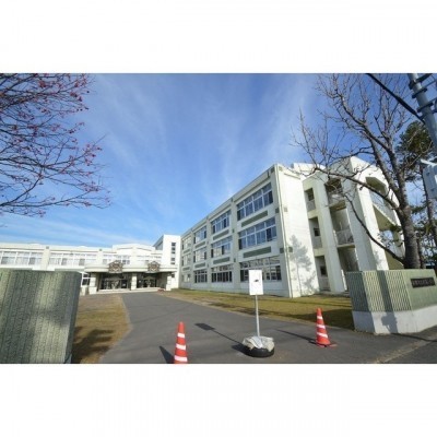 新陽小学校