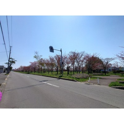 前面道路(道路奥は柳町公園)