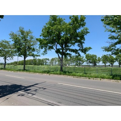 前面道路の様子です