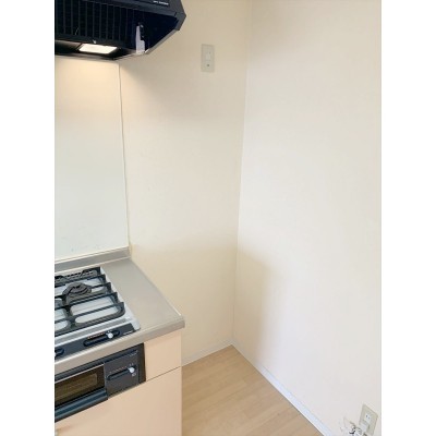 入居中につき別部屋画像となります。
