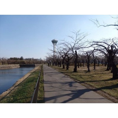 五稜郭公園
