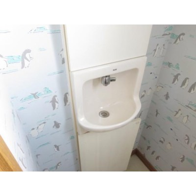 トイレ内には手洗い場が設置されています。下には収納もあり、使