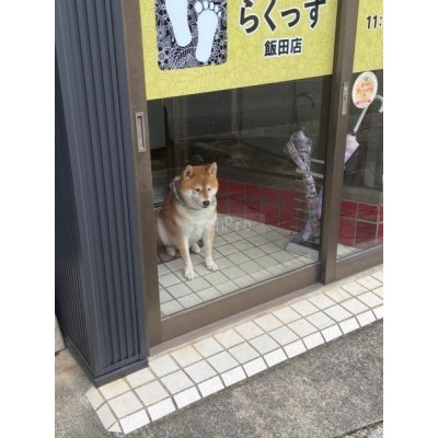 1Fテナント入口