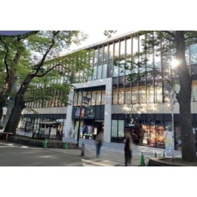 ル・シーニュ 213