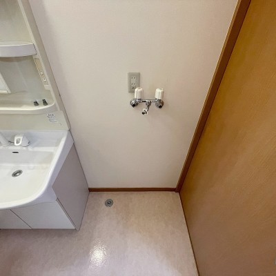 シャンプードレッサー