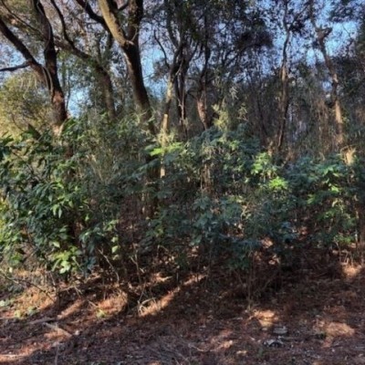 この地域の土地参考価格
千葉県長生郡睦沢町下之郷656-9