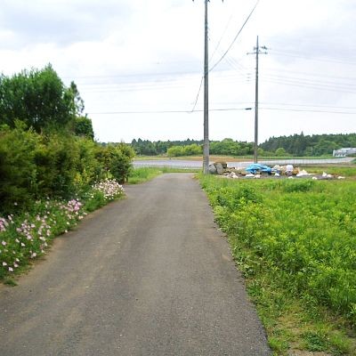 北東道路を南東に向かって