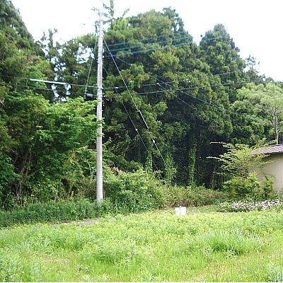 北に向かって