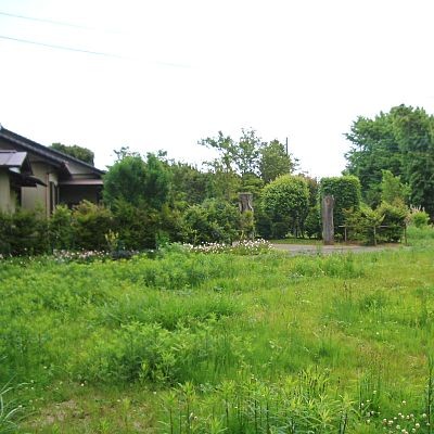北東に向かって