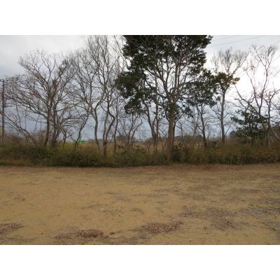 西側は空き地