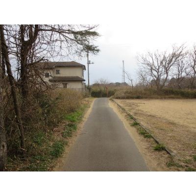 南道路