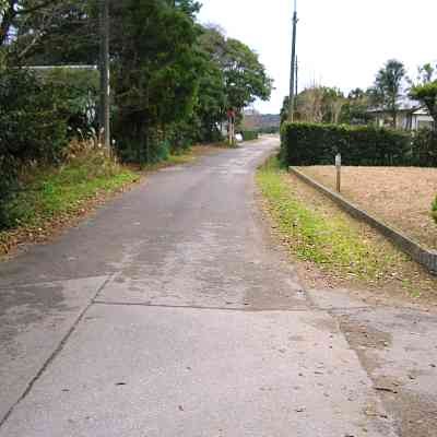 東道路