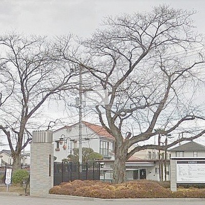 近隣 東京国際大学