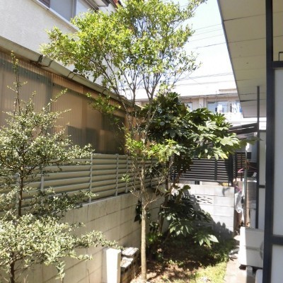 1階テラス