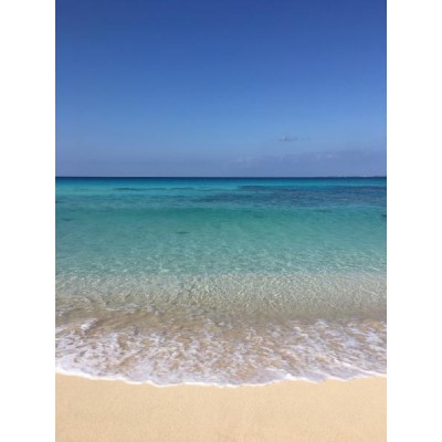海