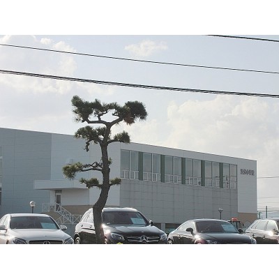 浜分小学校