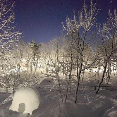 夜の前庭(冬)は満天の星空です。