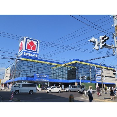 ヤマダ電機