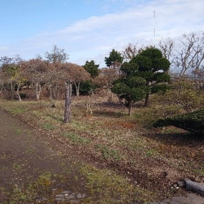 東側方面